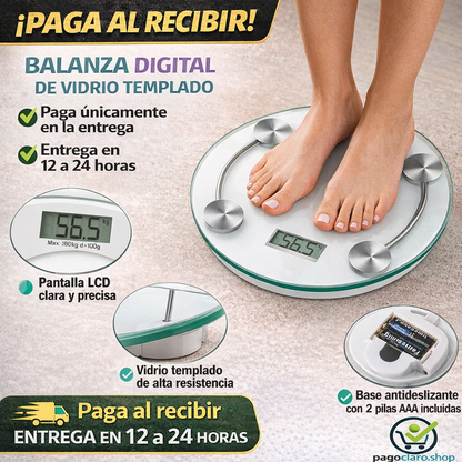 Báscula digital redondo